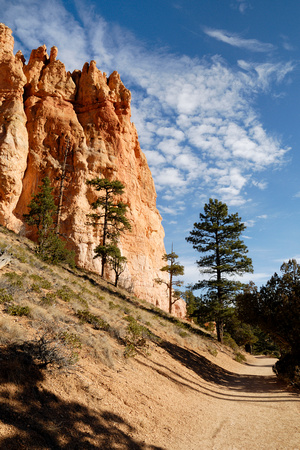 Bryce Canyon Trail