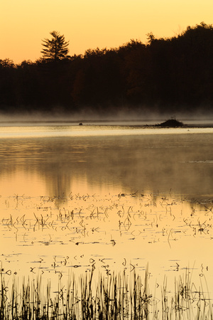Lake Jean Sunrise