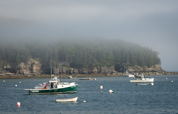Bar Harbor boats in the fog