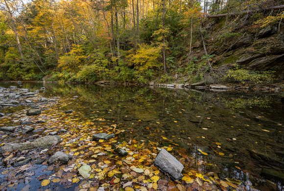 Fall at Wissahickon Creek