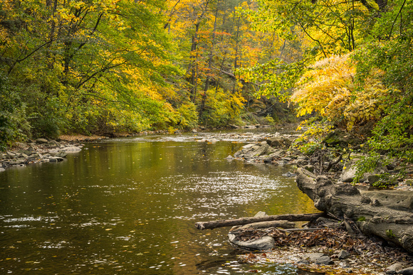Fall at Wissahickon Creek