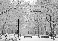 Snowy Rittenhouse Square
