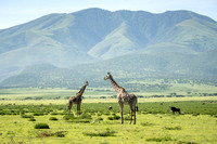 Scenery on the drive from Ngorongoro to Ndutu