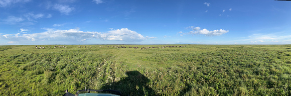 Wide open Serengeti plains