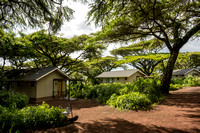 Ngorongoro Lion's Paw cabins