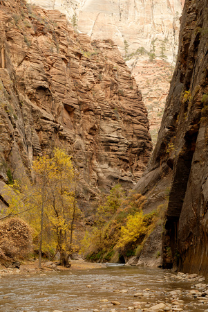 Entrance to the Narrows - Zion