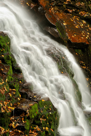Ganoga Falls Detail
