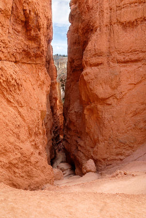 Navajo Loop Trail